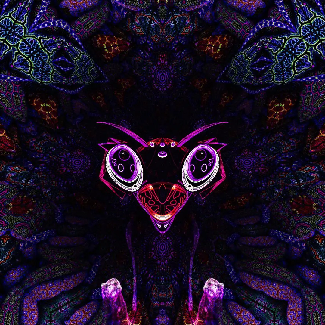 Insectoid saw last night during a DMT trip