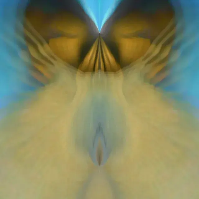 Double vision