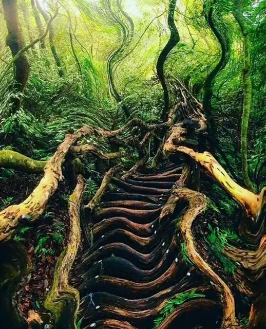 Lost in the green