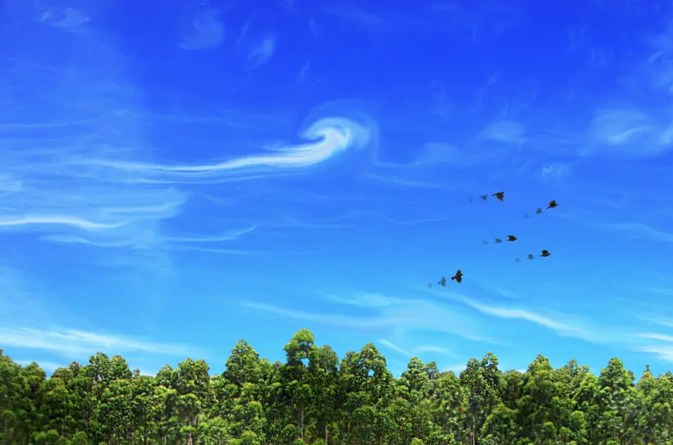Birds with tracers. 100ug