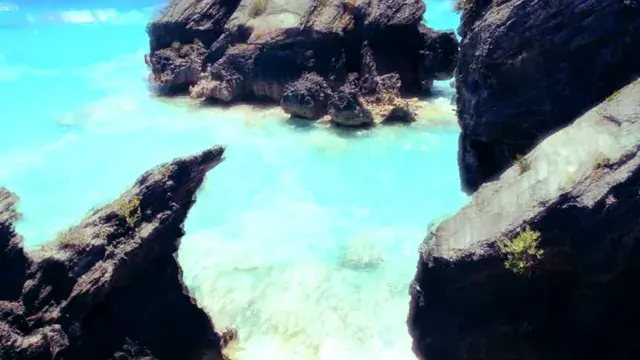 Trip to the beach