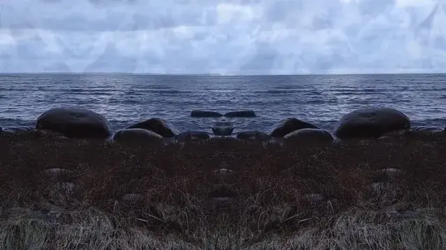Lucy by the sea