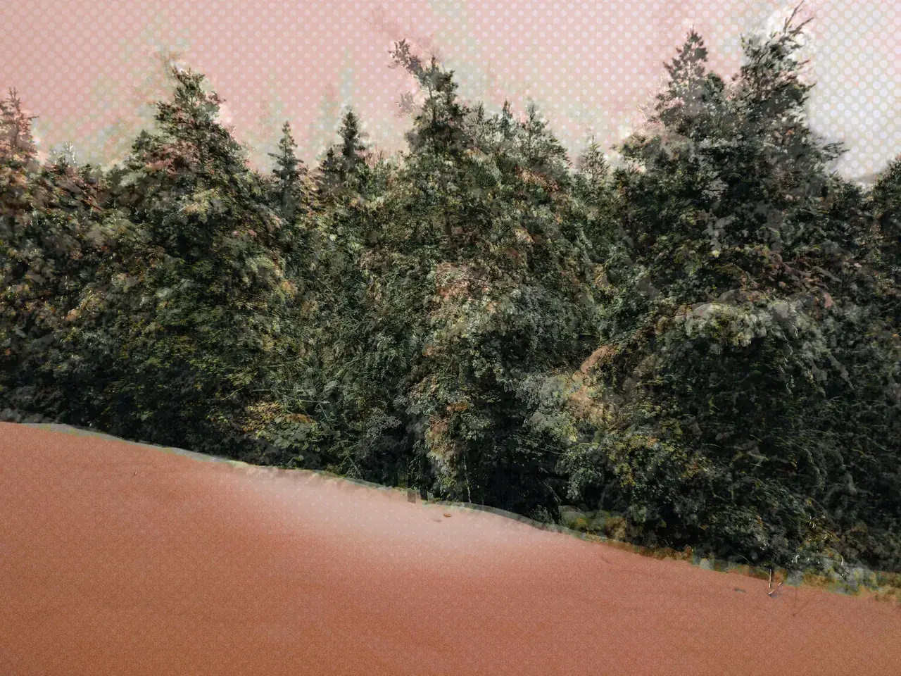 Replication of smoking a joint during LSD afterglow👽