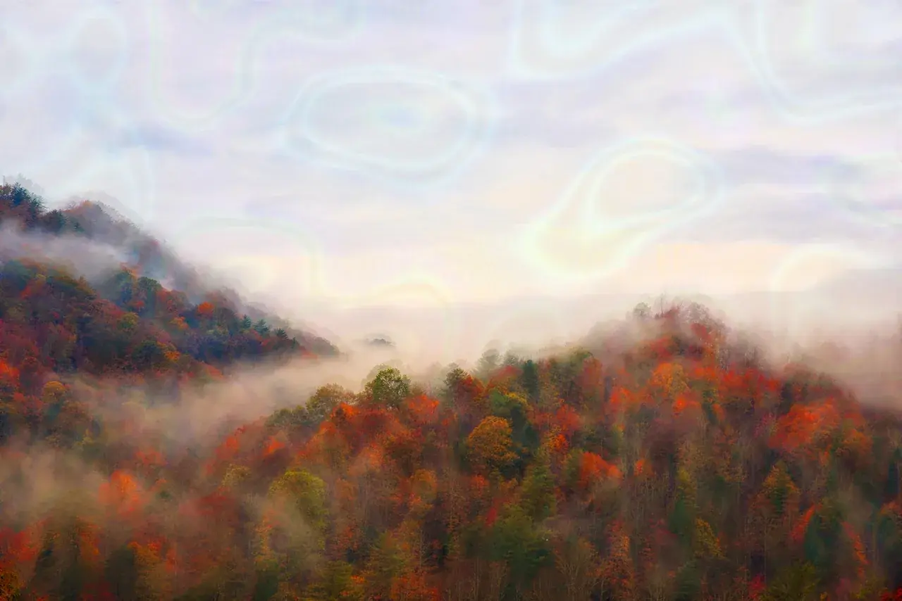 Lsd, thoughts?