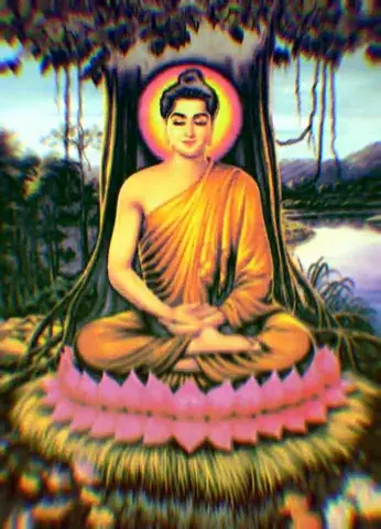 Buddha knows what's up!