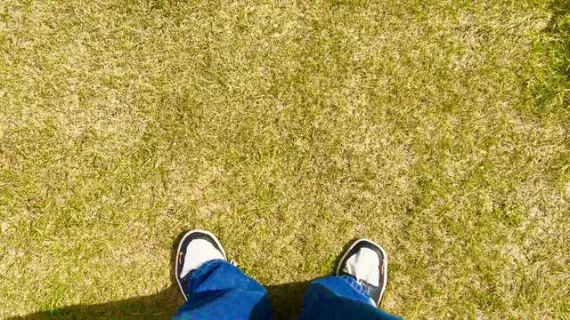 Woah, Grass.