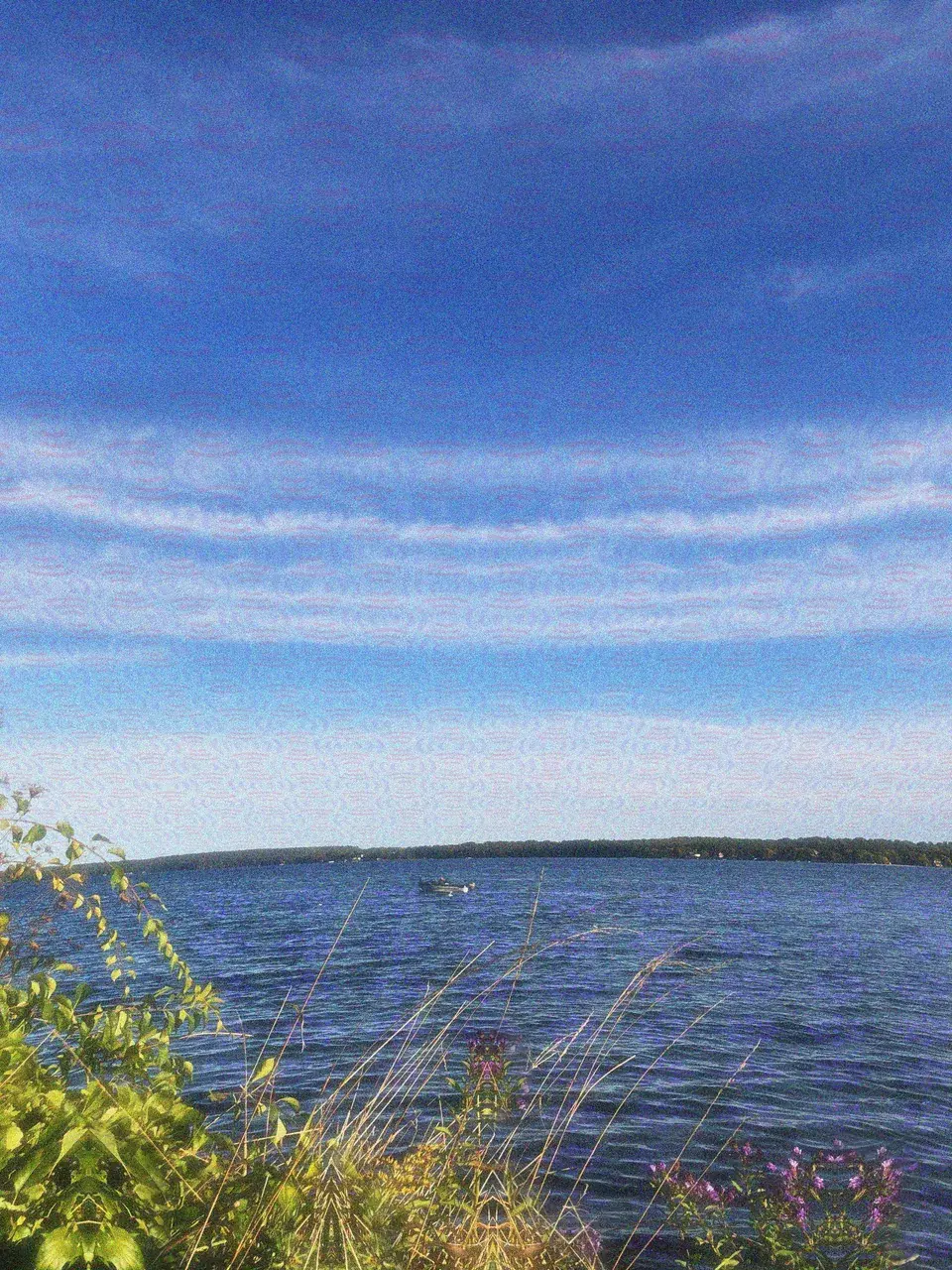 2C-B at the lake