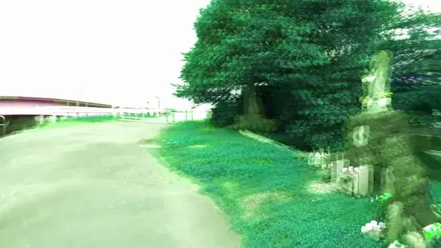 Just a walk in the park... On LSD😛🌄