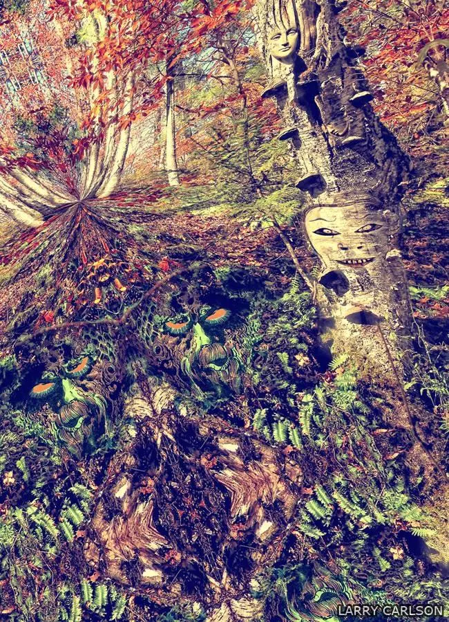 Deeper Woods by Larry Carlson