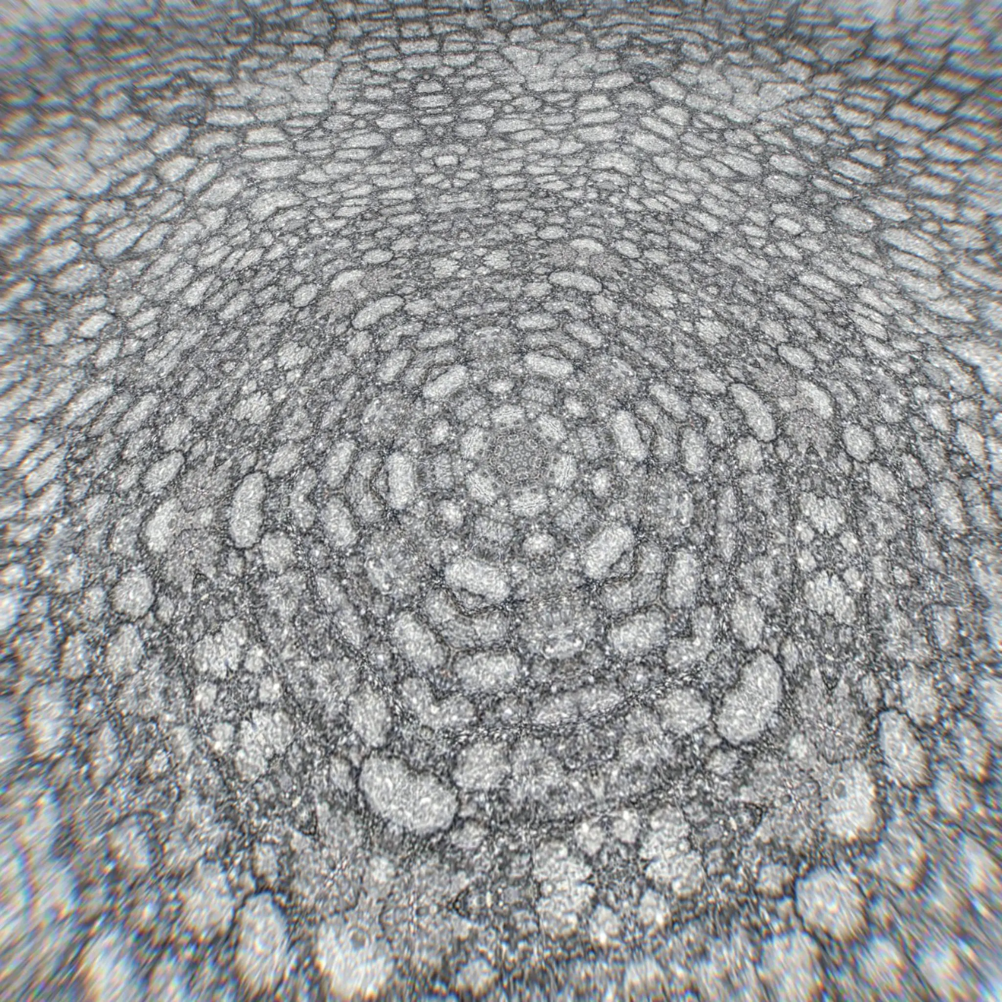 Symmetric Gravel