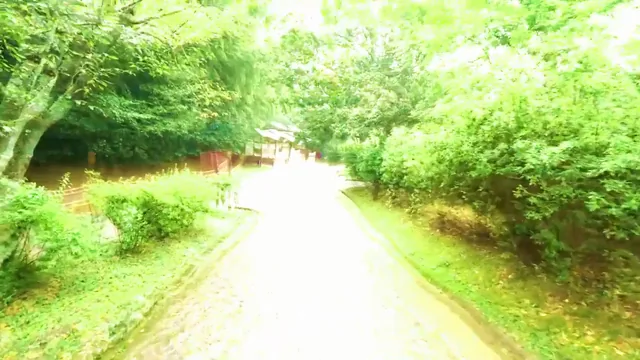 I made an LSD simulation based in Japan π―π΅ππ¨ On YouTube & Instagram @donnydynamic