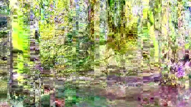 Entering the fractal forest