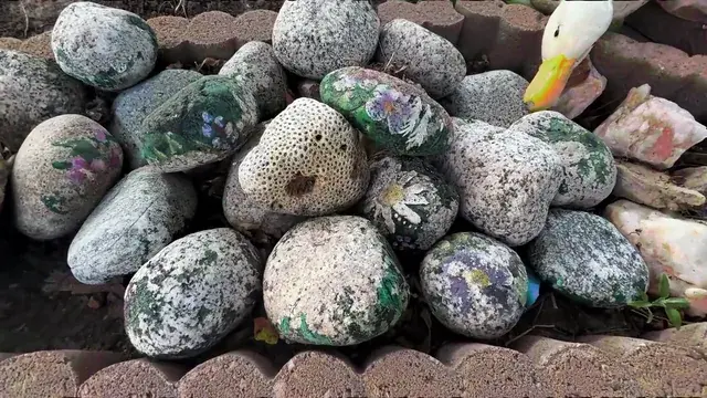 rocks