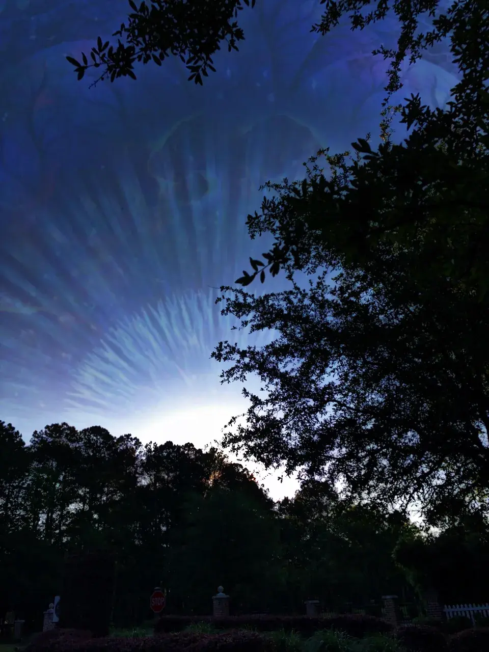 Light fractalization experienced on 250μg LSD.
