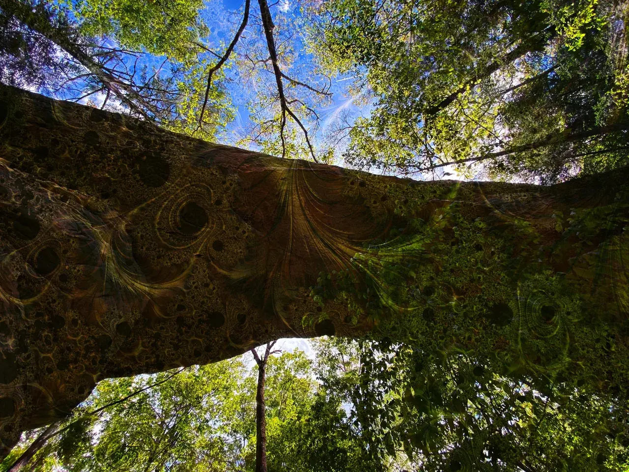 Acid arch