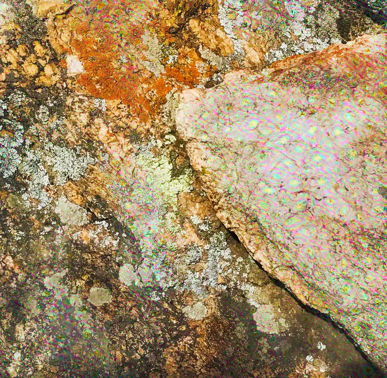 My best attempt at replicating this sort of "cellular rainbow" effect I see in many objects (like this granite)