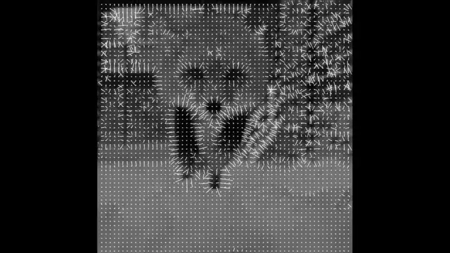 The first one looks like DMT fractal reality