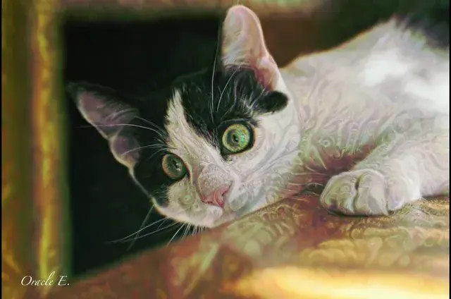 Dude, your cat is staring at me...