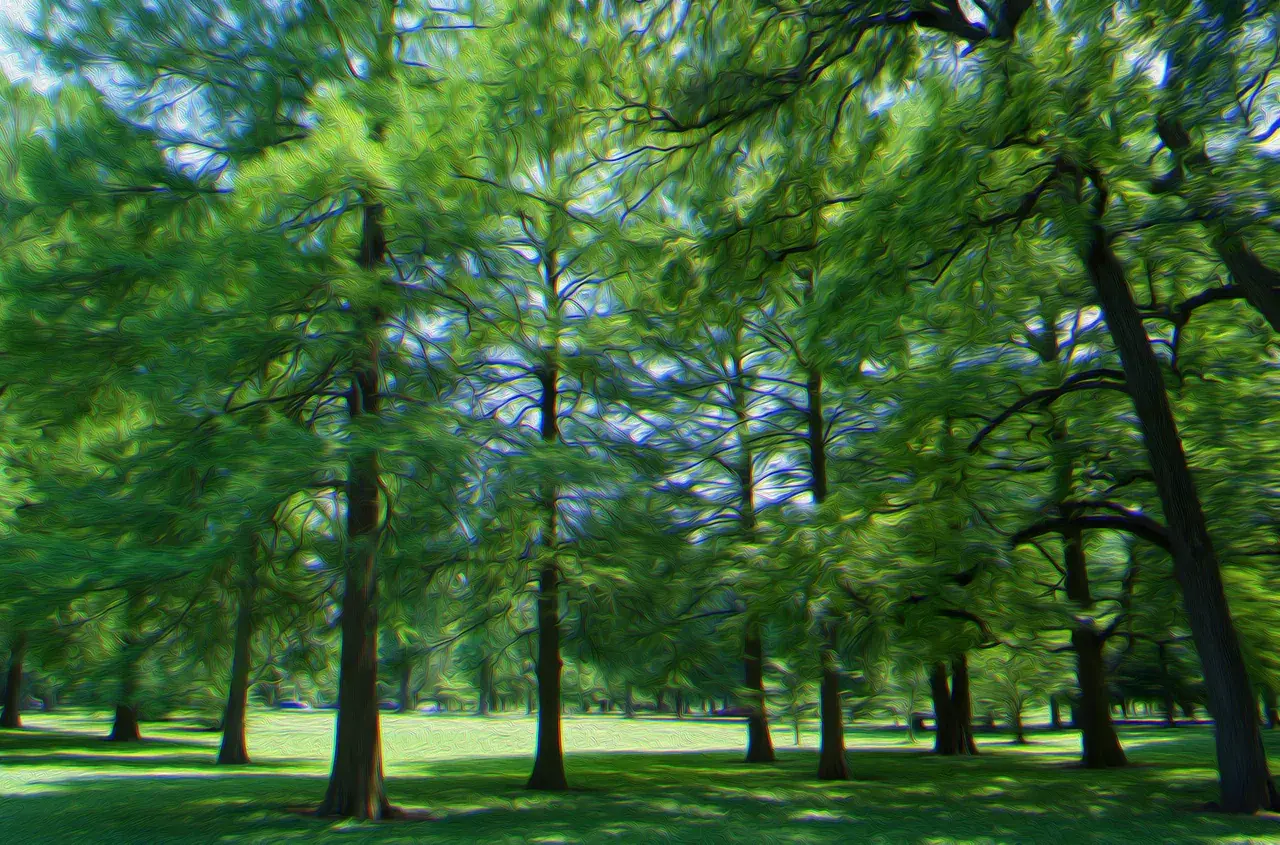 A few tabs in the park