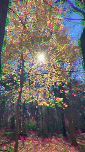 Happy little trees :)