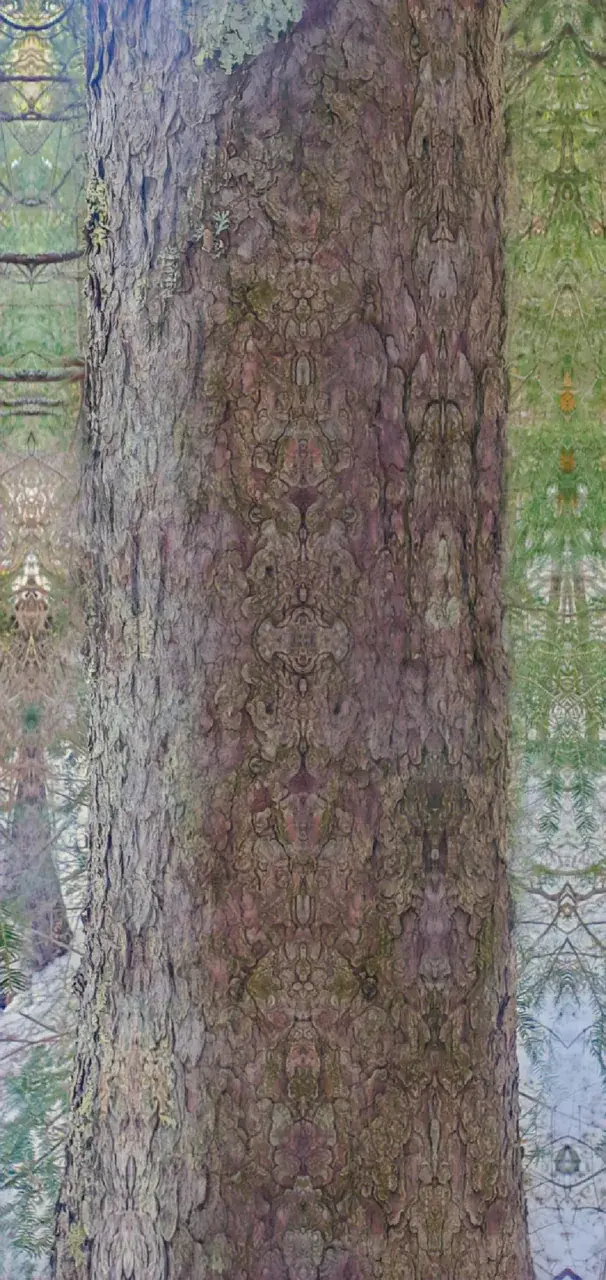 4 AcO MET Visuals [OC]