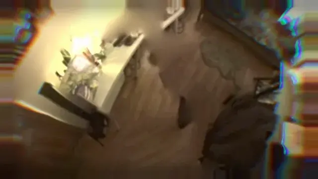 Goofy Bad Trip Simulator