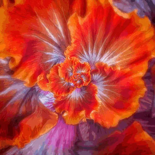Red flower