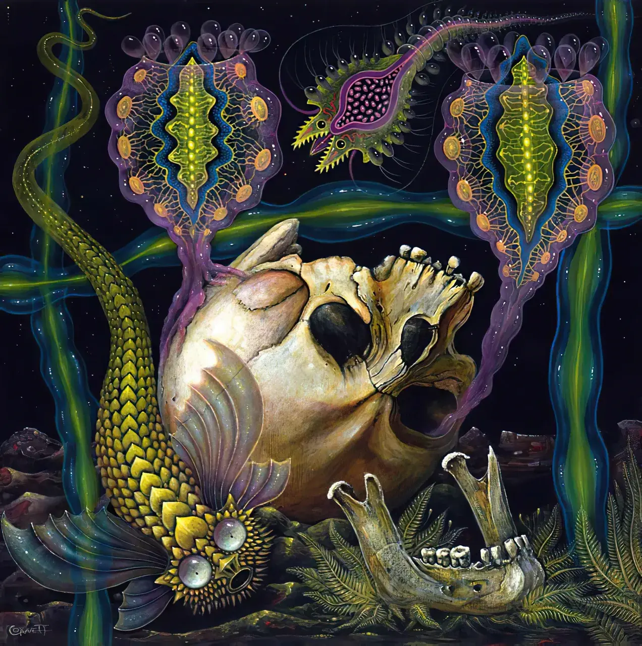 Serpent and Skull Still Life