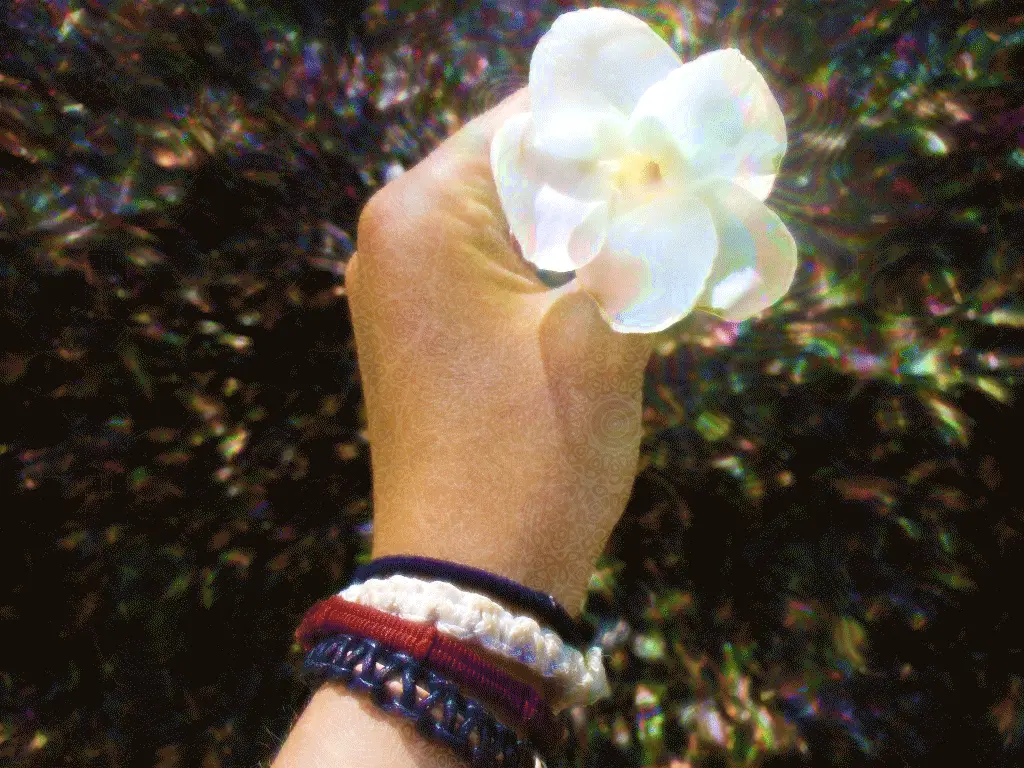 flower