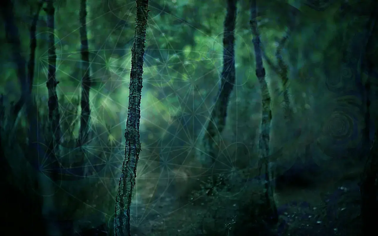 Light Trip in woods. Distorted forest.