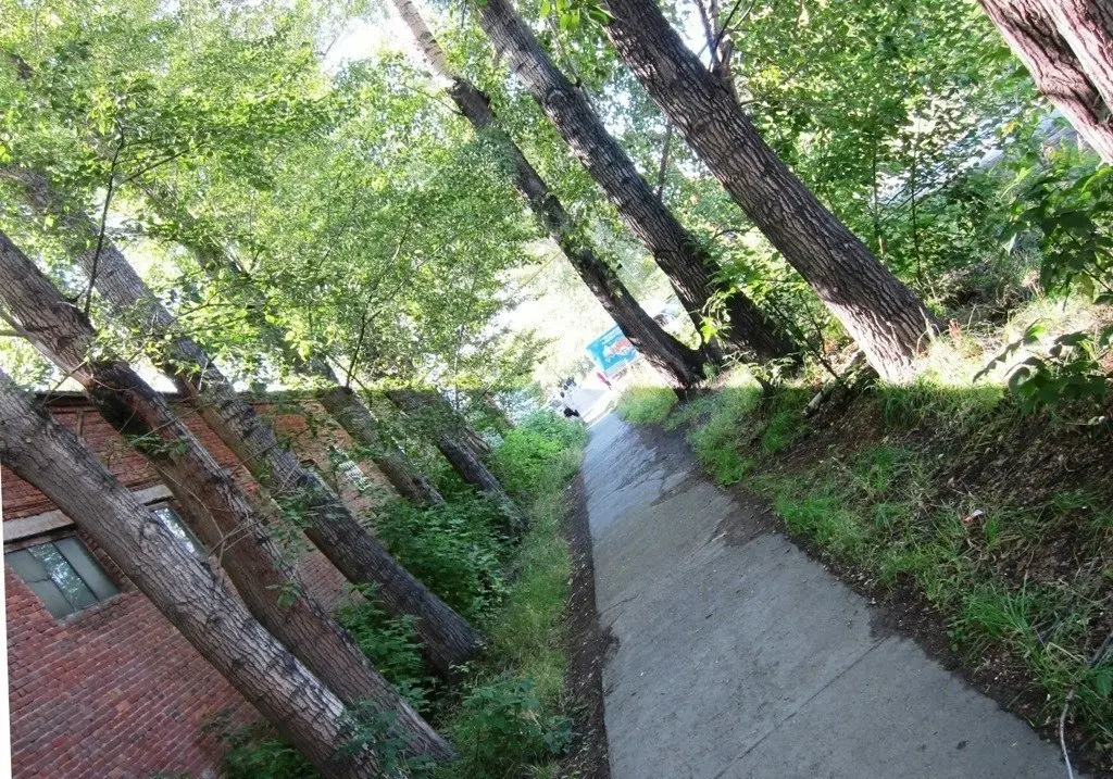 Zooming around, does anybody else see it?