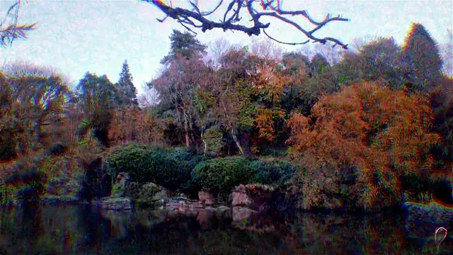 LSD Peak Simulation