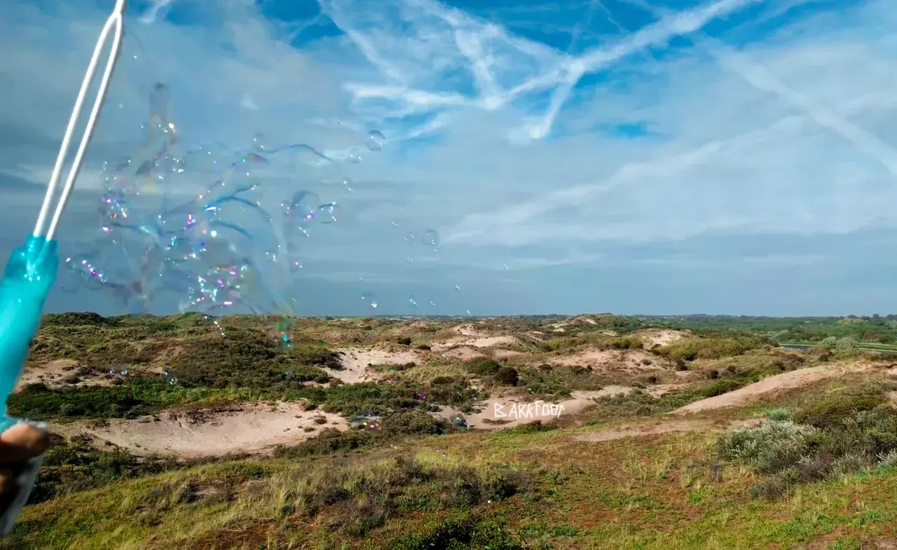 I tried to edit a picture I took during my last trip to look like it did on LSD [oc]