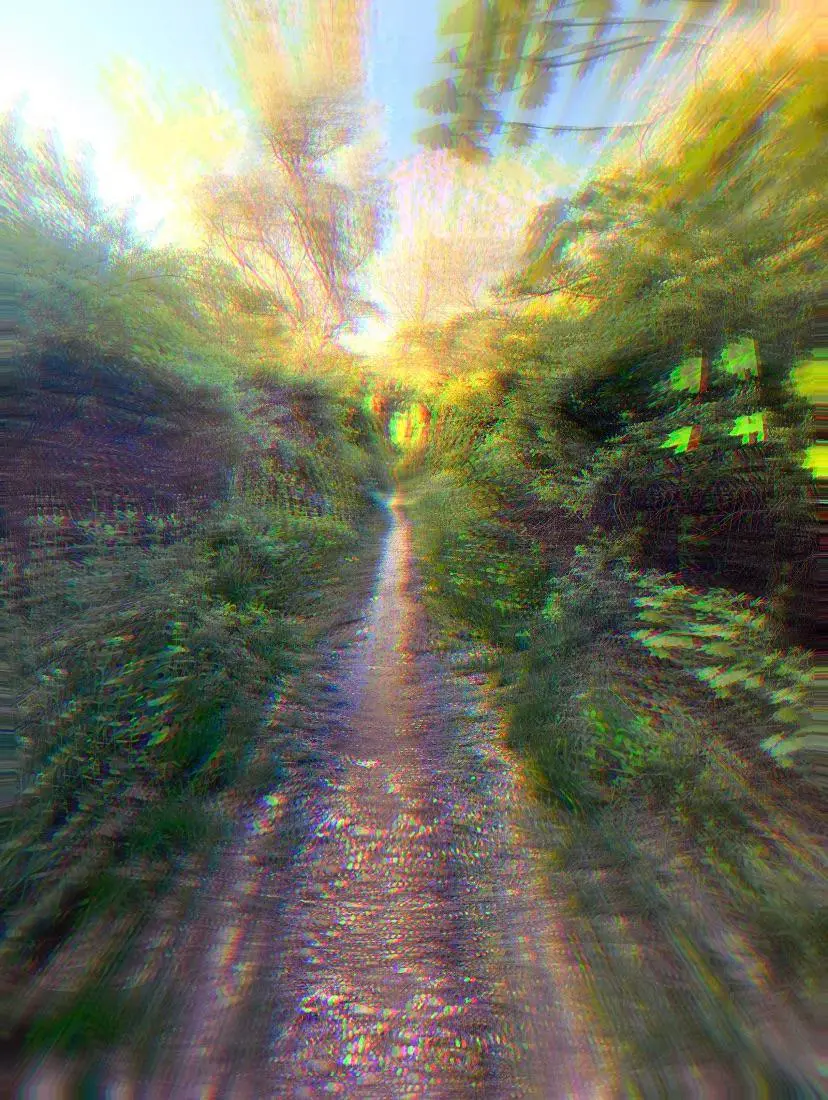 This path is starting to get confusing