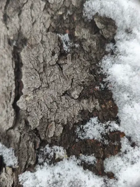 Can you see it breathing?