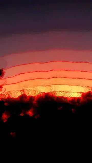 Just looking at the sunset