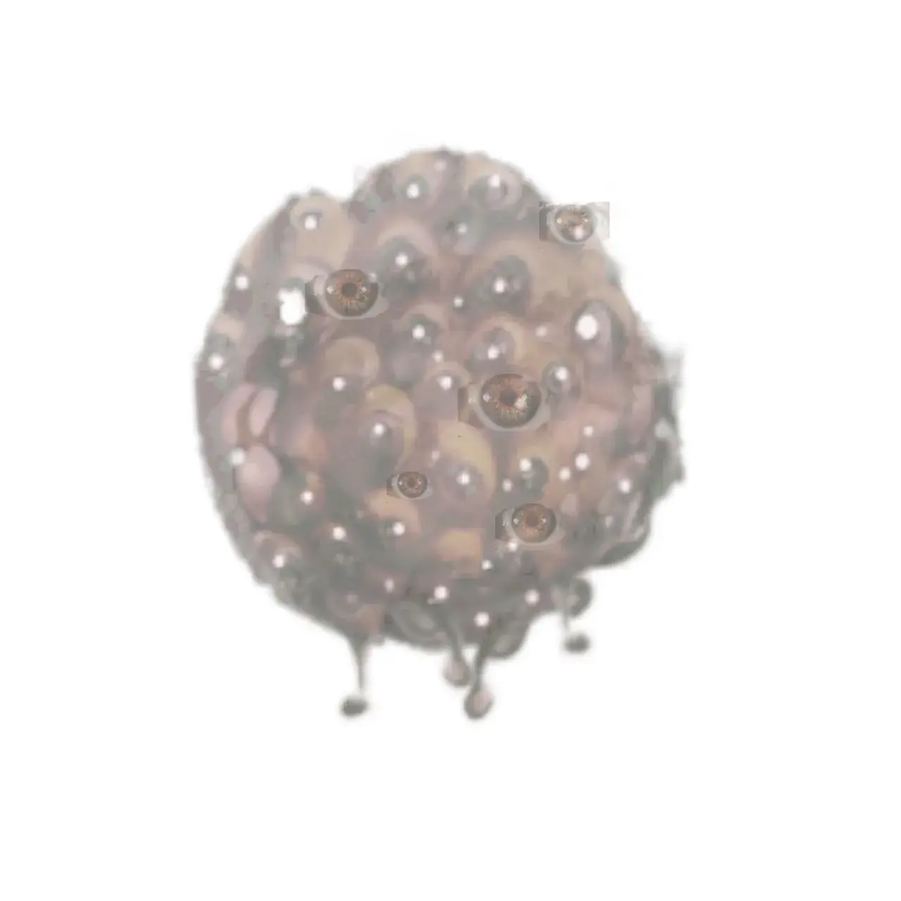 Hypnagogic hallucination experience induced by Clonidine, an atypical sedative. It was a floating gelatinous mass of eyeballs glaring fiercely and hovering in midair