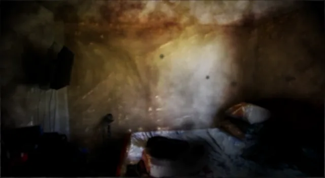 Not sure what to call this one. More experiments with video. Feedback much appreciated. Deliriants/Delirium ~#10.