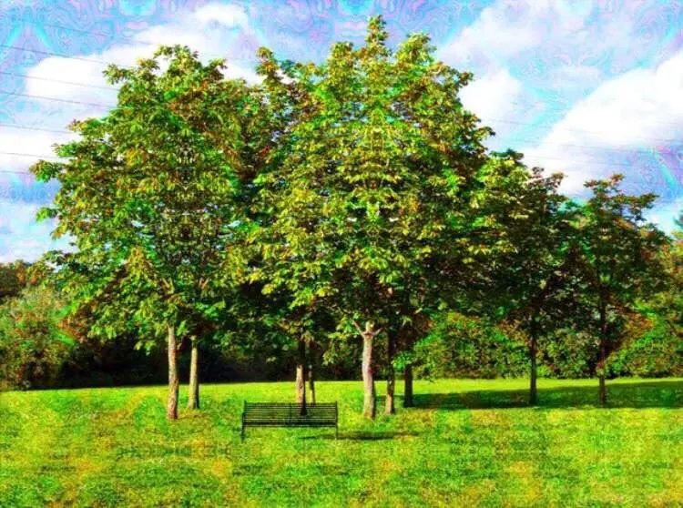 Pretty accurate LSD visuals if u ask me