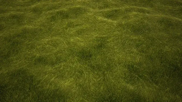 Embedded patterns