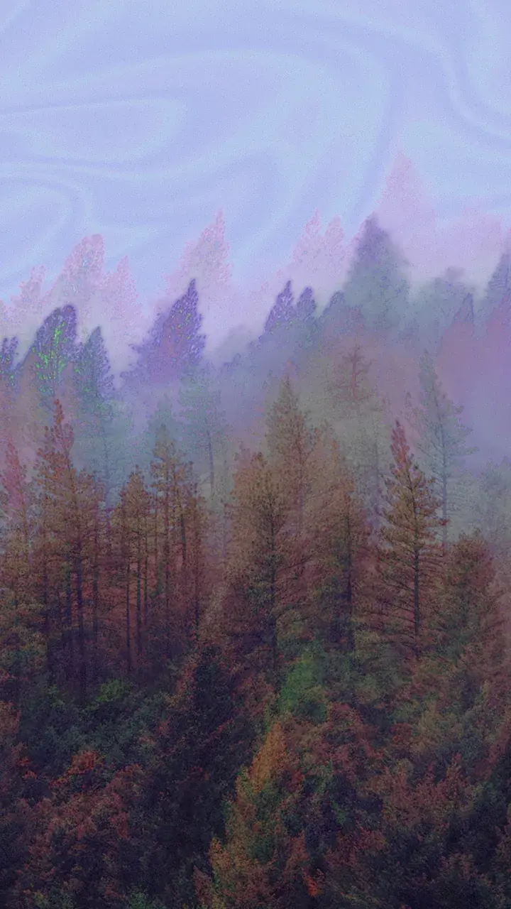 Forest Trip portrait wallpaper (1440 x 2560)