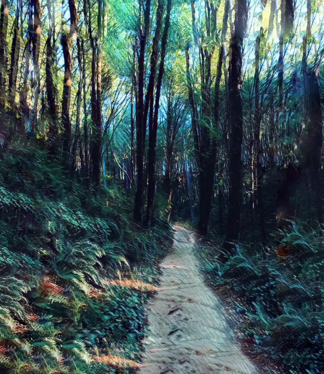 hiking though the forest on LSD