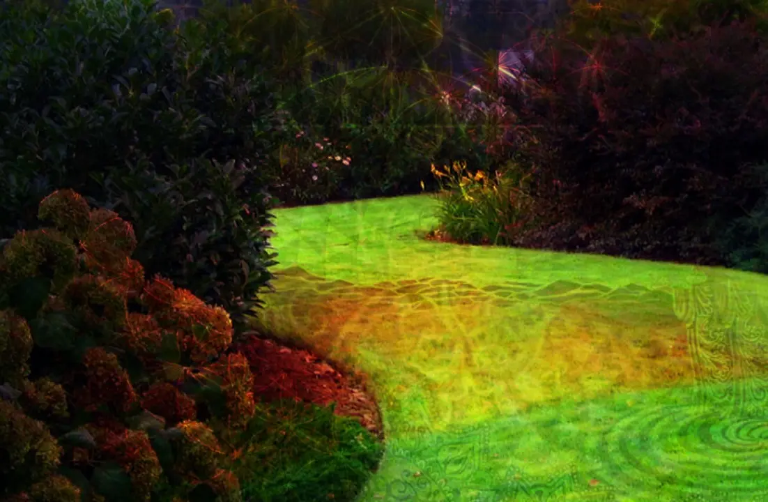 Replicaton Of My First Acid Trip
