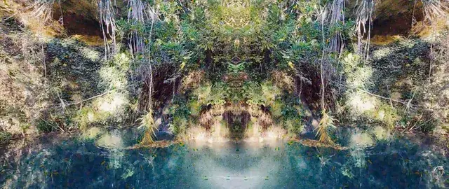 LSD Peak Replication