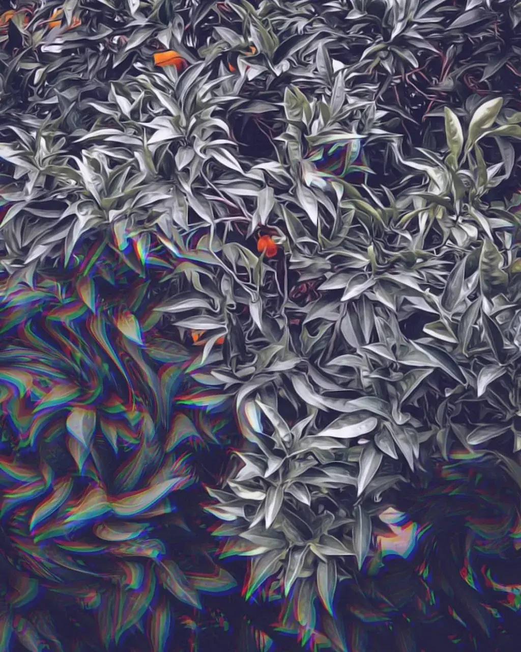 I tried to simulate the tree from my backyard as a saw it last time I dropped acid