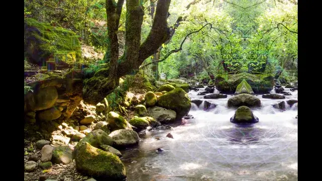 My first attempt on an LSD replication.