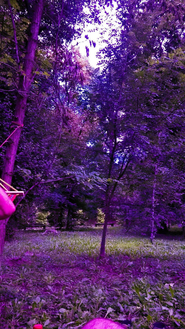 My first attempt at a replication, but I lack the editing skill to make it exactly the same.