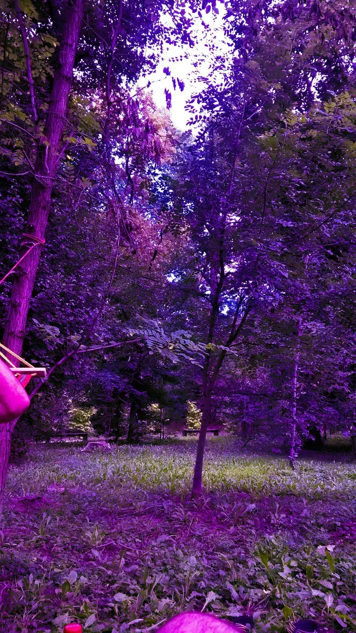 My first attempt at a replication, but I lack the editing skill to make it exactly the same.