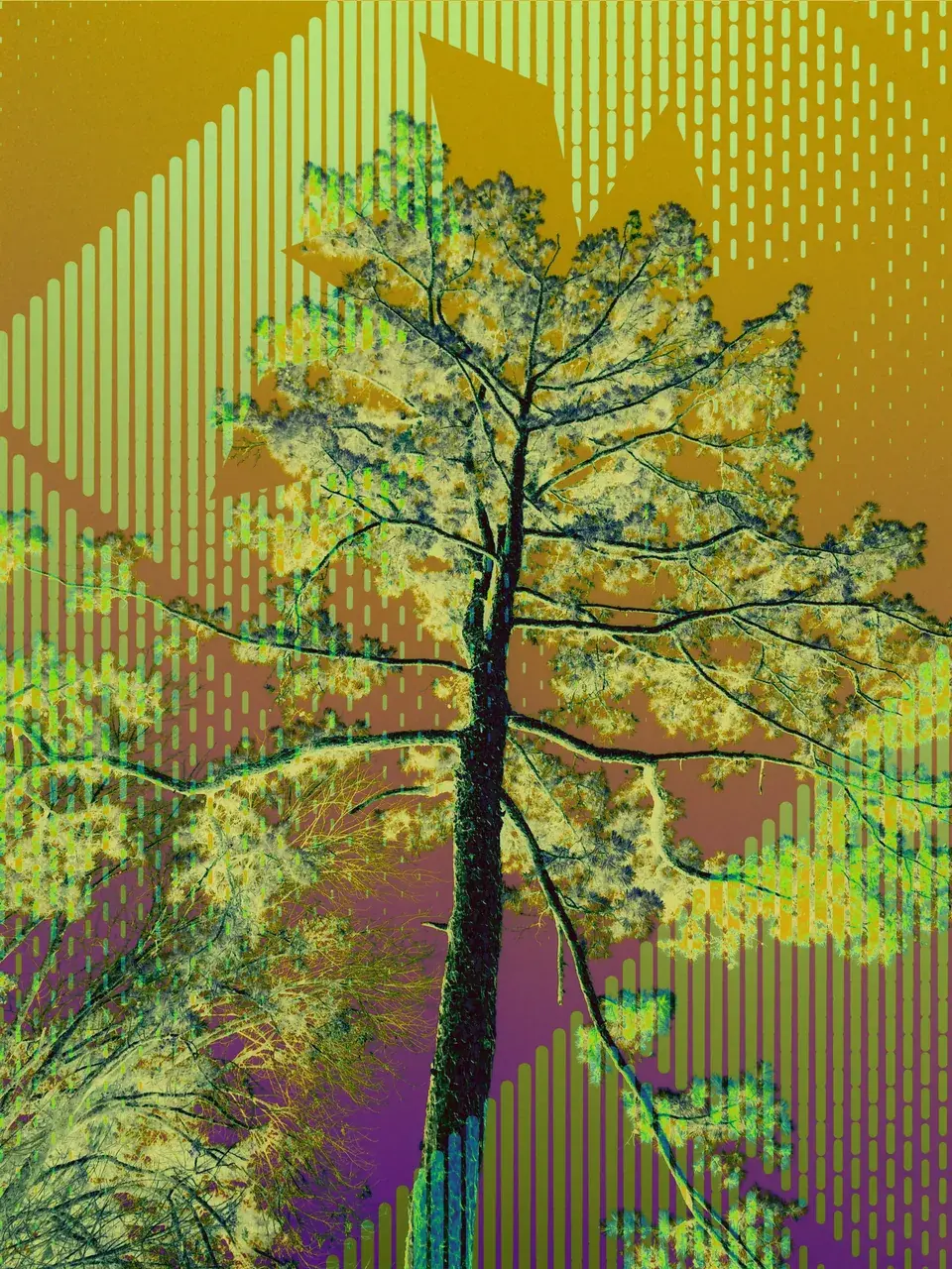 Couple of quick pictures from the lake.