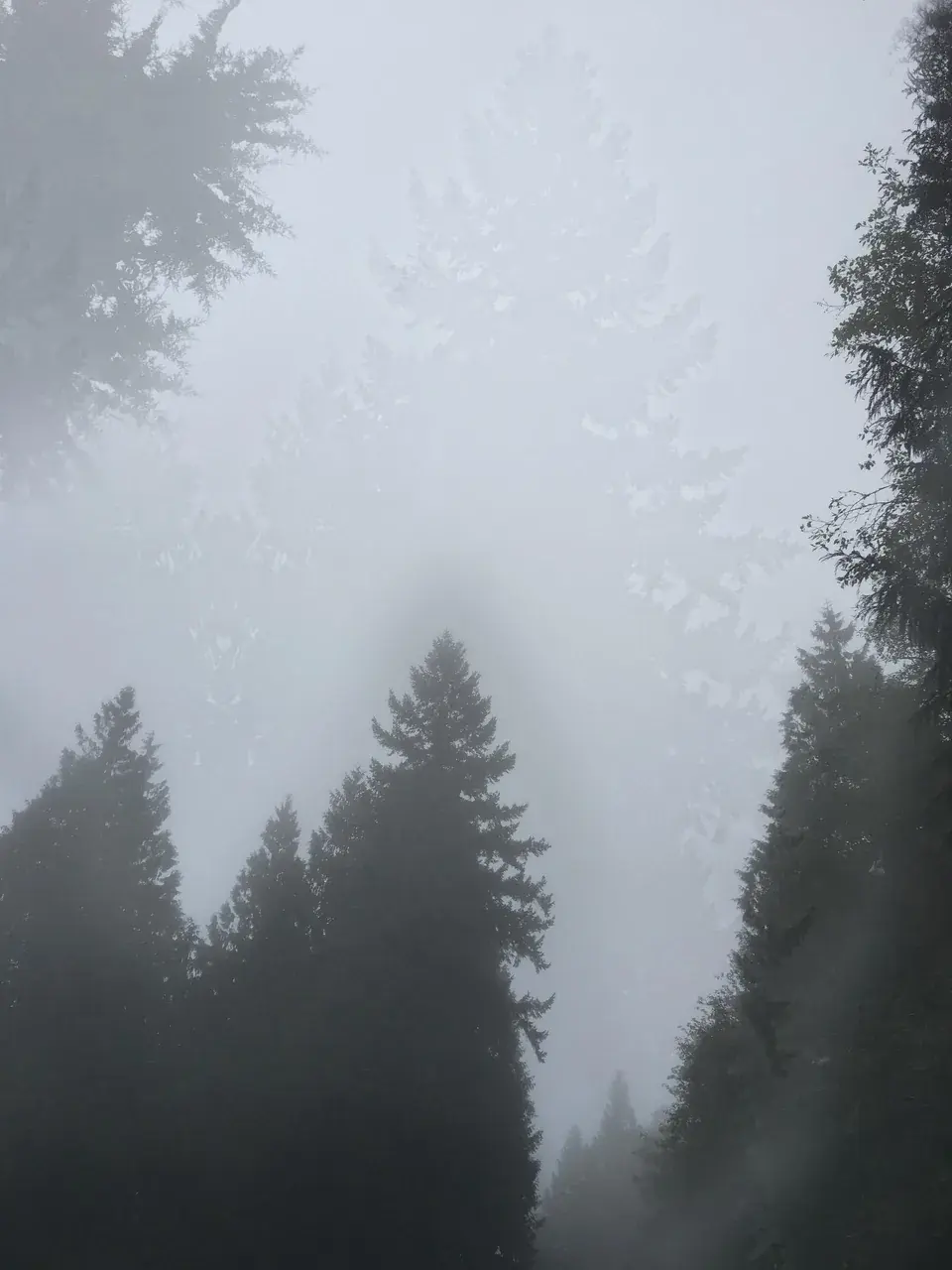 Hypnagogic haze